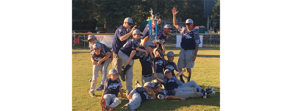 10 Year Old District 3 Champs - 2016